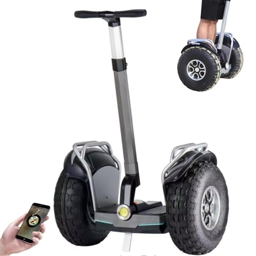 BoluDukNN Patinete Eléctrico Autoequilibrado De Dos Ruedas, Transportador Todoterreno De 19 Pulgadas, Pantalla De 6,5 Pulgadas,Aplicación Móvil/Seguimiento GPS/Sistema Antirrobo Grey-90km