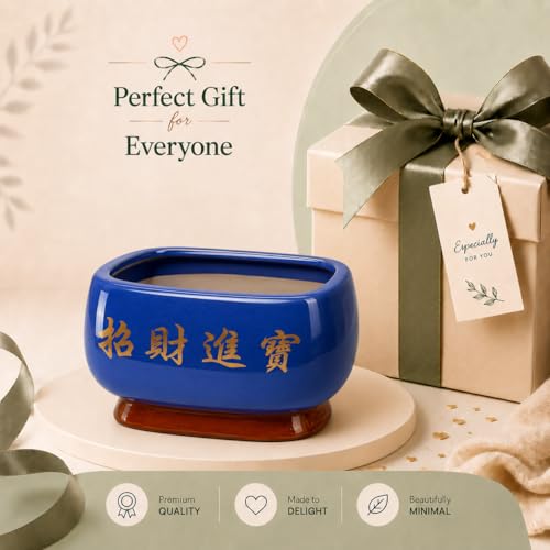 Image of Xtore Elegant Sky-Blue Ceramic Bonsai Planter Pot for Indoor & Tabletop Decor | Glossy Finish Bowl with Artistic Raised Detailing & Sturdy Feet Base (Pack of 1, Planter Only)