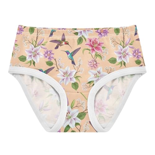 Joisal Colorful Birds Pastel Florals Toddler Girls Underwear 2t Cotton Cute Panties Girl Bright Briefs Undies Kids