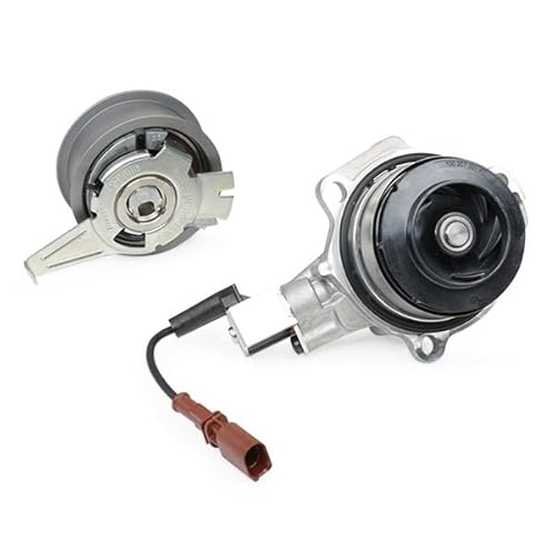 INA 530 0650 30 Wasserpumpe + Zahnriemensatz 29 mm