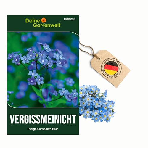 Vergissmeinnicht Indigo Compacta Blue Samen - Myosotis sylvatica - Vergissmeinnichtsamen - Blumensamen - Saatgut für 50 Pflanzen