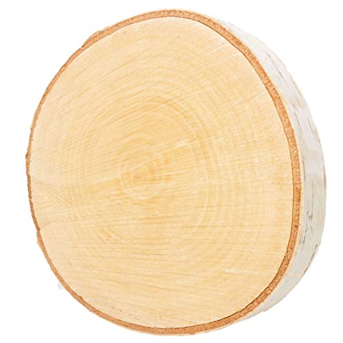 Birkenscheibe rund Ø 15-20cm, ca. 2,5cm stark, Holzscheibe, Baumscheibe zum Basteln, Gravieren, Basteln, Gravieren, Dekorieren, Tischdeko, Floristik, Hochzeit, Unterteller (1 Stk. geschliffen) Cover