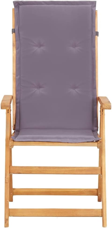 vidaXL Garden Chair Set of 2 Dark Grey