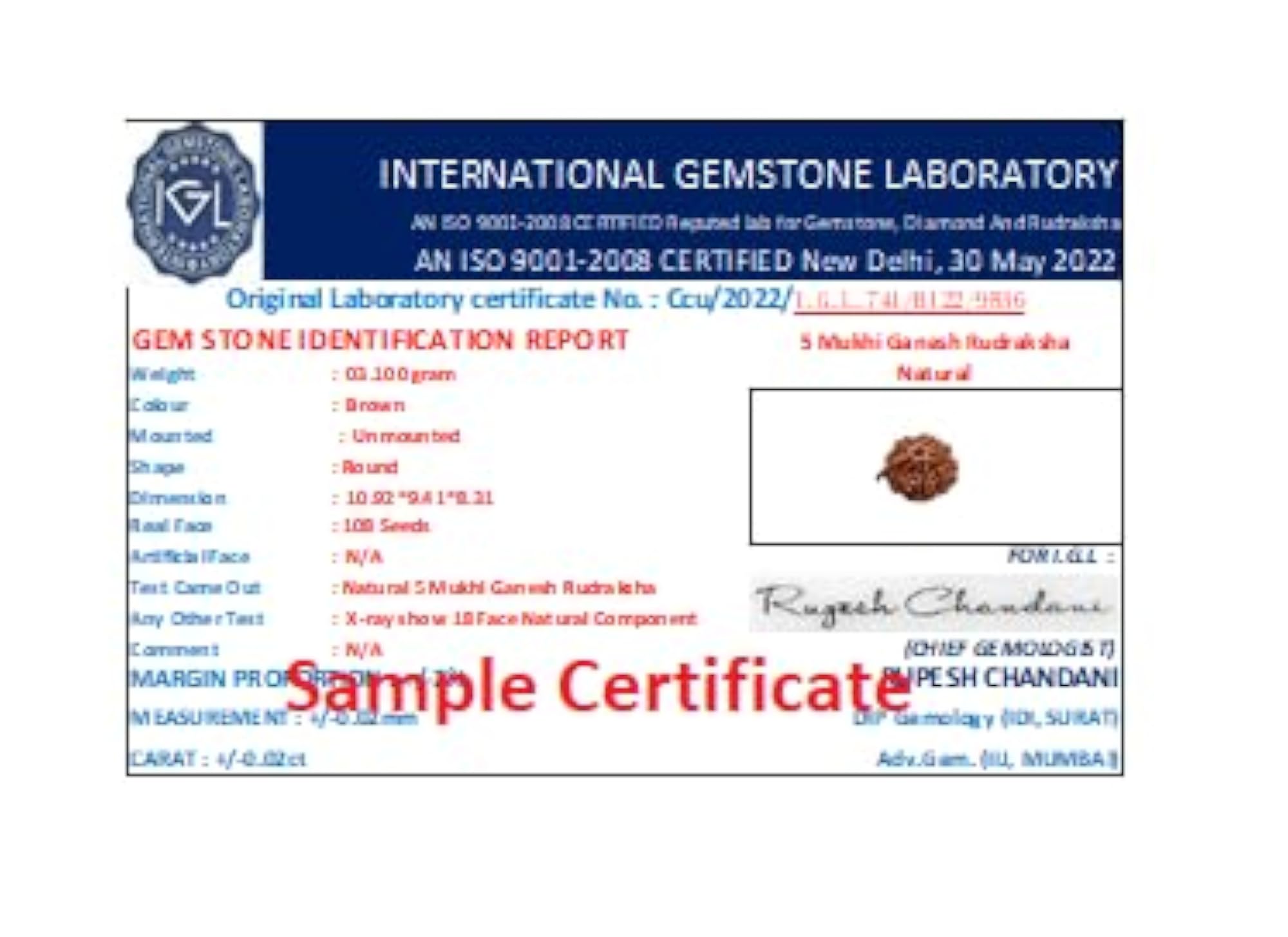 Panchmukhi Ganesh Rudraksha, Original Lab Certified