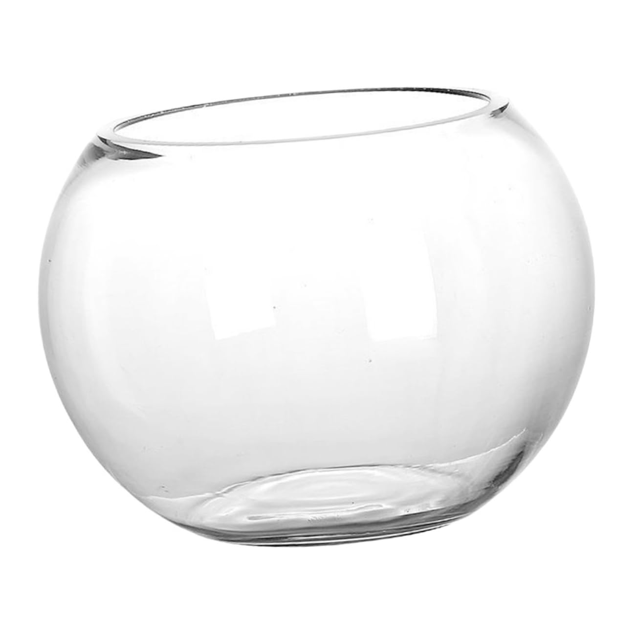 Plantes hydroponiques en vase rond Toyvian pour intérieur