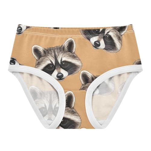 Cotton Toddler Underwear Floral Drawn Brown Raccoons Orange Girl Panties Cute Fancy Briefs Underpants 2t