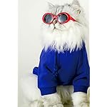 Retro oval small dogs cats eye wear party favors pet sunglasses set cute funny cosplay dolls costume photo props 14