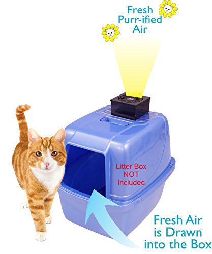 diy litter box deodorizer