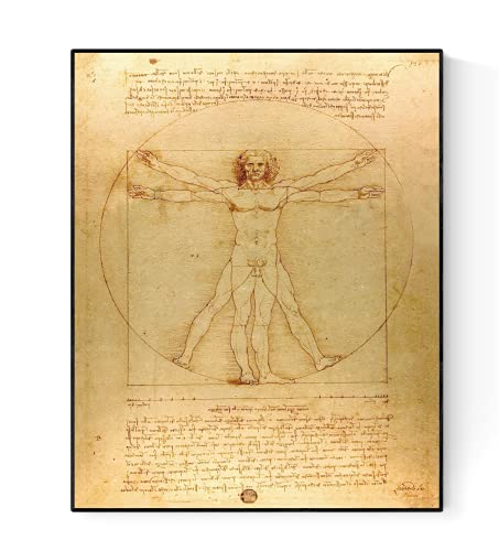 Leonardo Da Vinci's Vitruvian Man | Original Reproduction | Art