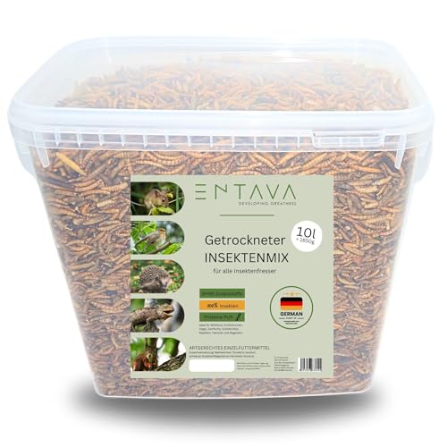 ENTAVA 10l nachhaltiger Insektenmix getrocknet in Premium-Qualität, Vogelfutter, Koifutter, Igelfutter, Eichhörnchenfutter, ganzjähriges Futter für Wildvögel