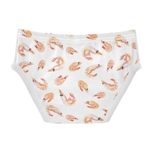 Boys' Exclusive Briefs Toddler Underwear 95% Combed Cotton Boxerbriefs 2T Shrimp Seamless Design 12