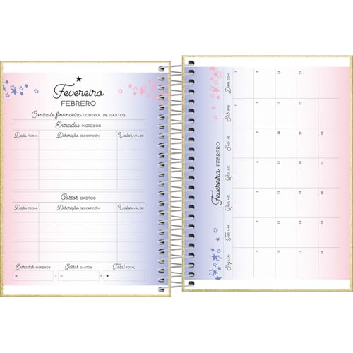 Tilibra - Agenda Espiral Diária 11,7 x 16,4 cm Shine 2025 - Prata