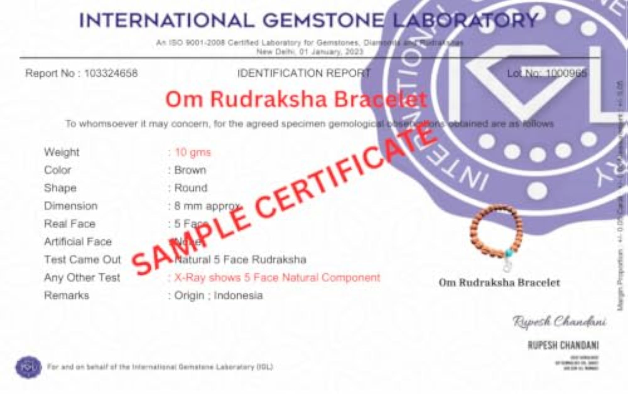 Nepali Brownish Om Rudraksha Bracelet, Certified