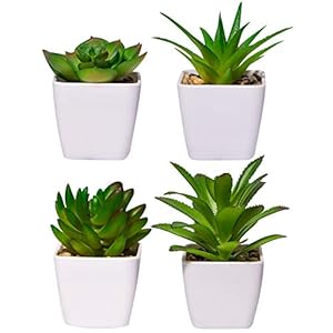 4pcs Plante Artificielles Interieur Petite Plante Artificielles Succulentes en Plastique avec Pot en Céramique Fausses Plantes Vertes Décoration