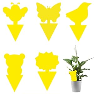 100 Stück Gelbsticker Trauermücken Bekämpfen: Gelbtafeln Trauermücken, Alternative zu Nematoden Gegen Trauermücken in Blumenerde, Fruchtfliegenfalle zur Schädlingsbekämpfung für die Zimmerpflanzen