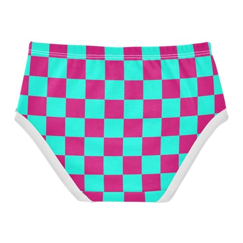 Teal and Pink Buffalo Checkered Toddler Girls's Underwear 2T2