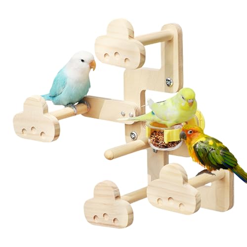 Loymqusa po[hp[` - ؐၕGT{Et -  CRώ@ jg   Vя  peBI [h c[lXgpybgANZT[