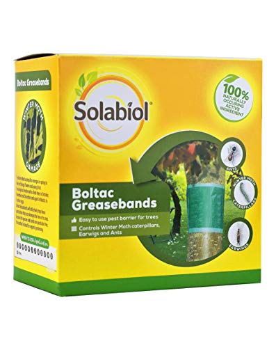 Price comparison product image Solabiol 86600041 Boltac Greasebands,  Pest barrier for trees,  1.75m