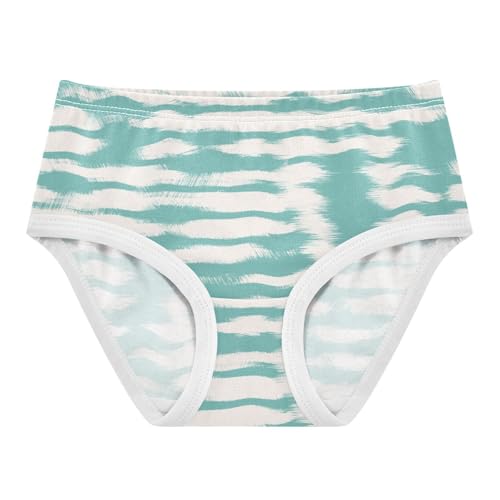 Panties Underwear Moisture Wicking Breathable Toddler Underwear for Girls in Sizes 2T,3T, 4T, 5T, 6Y and 8Y