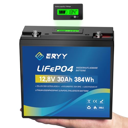 ERYY 12V 30Ah LiFePO4 Batterie, 5000+ Tiefenzyklus Lithium-Batterie mit 30A BMS, Leichte wiederaufladbare Freizeitbatterie für Wohnmobile, Camping-Ausrüstung, Trolling-Motoren, Solarenergiespeicher ERYY 12V 30Ah LiFePO4 Batterie, 5000+ Tiefenzyklus Lithium-Batterie mit 30A BMS, Leichte wiederaufladbare Freizeitbatterie für Wohnmobile, Camping-Ausrüstung, Trolling-Motoren, Solarenergiespeicher