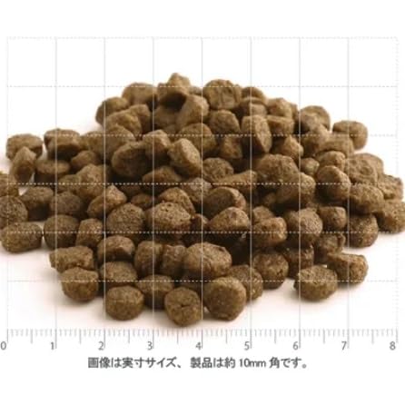 フィッシュ4 ドッグ ファイネスト サーモン 小粒 6kg フィッシュ4 フィッシュ4ドッグ ファイネスト サーモン 小粒 6kg
