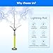 Umiup Lightning Rod, Insulated Lightning Rod kit roof Lightning Rod Detachable Lightning Protection Equipment Home Lightning Protection System