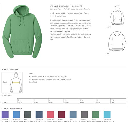 Phi Kappa Psi Vintage Color Pullover Hooded Sweatshirt4