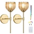 Rnzziw Vintage Battery Operated Wall Sconce Set of Two,Rechargeable Wall Lights with RGB Dimmable Detachable Bulbs and Remote,12 Colors Wireless Wall Lamps for Bedroom Living Room Hallway (Amber)