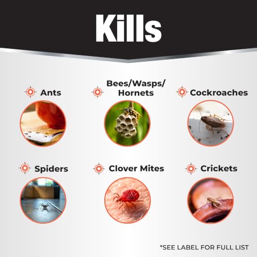 Revenge Spider & Ground Bee Killer, 10 oz Ready-to-Use Dust Treatment - image 3