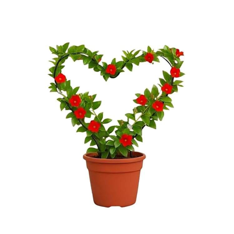 sAtimE Black Metal Plant Trellis – Heart-Shaped Iron Vine Support Rack for Climbing Plants | Decorative Indoor Garden Trellis for Potted Plants & Flowers | Vertical Plant Holder (1 Piece)-image-21
