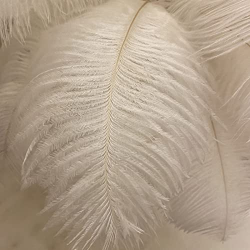 Feather Table Lamp, USB C Rechargeable Touch Desk Lamp with 3 Color Dimmable Warm White Natural Light, for Bedroom Living Room Decor - Image 3
