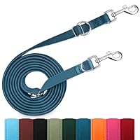 PETCOOZ Hundeleine 3 m Verstellbare Schleppleine, Verdickte Doppelleine Führleine für Hunde bis 30 kg für Kleine Mittelgroße Hunde, Freihandleinen Übungsleine aus Nylon mit 2 Karabiner, Marineblau