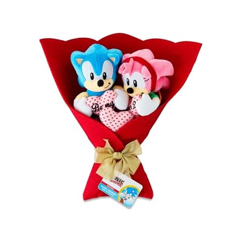 Ruz Valentine's Day Plush Bouquet, Sonic and Amy Rose Characters Cover