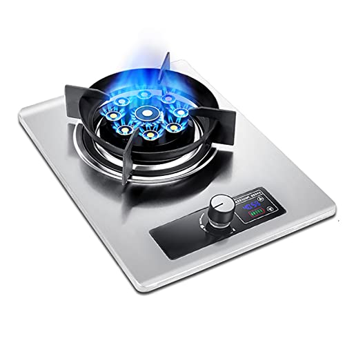 Aouoeeo Placa de Gas, Encimera de Gas, Cocina de Gas de 32 cm con Quemador, de Acero Inoxidable, empotrada, para Gas Natural (GN) y GLP, 5 kW, 900 W
