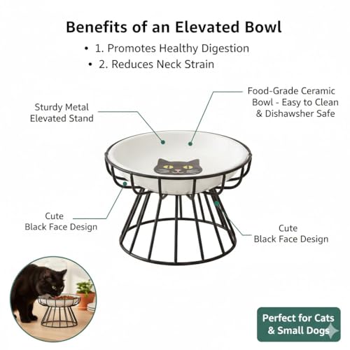 Image of Elevated Cat Plate Set - Whisker Friendly Anti-Vomit Shallow Ceramic Raised Cat Plates with Metal Stand, Anti-Slip Feeding Station Cat Bowls for Indoor Whisker Friendly