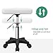 FURWOO Rectangle Rolling Stool with Wheels Height Adjustable Swivel Stool Chair for Spa Salon Massage White