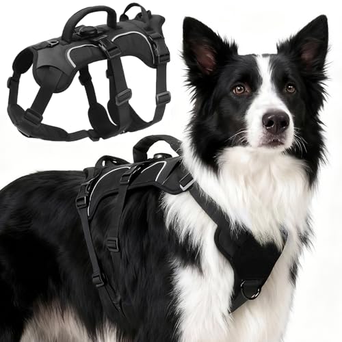 Ledeak Arnés para Perros a Prueba de Escape, Arnés de 3 Puntos Antiescape Antitirones, Chaleco Reflectante Ajustable con Mango, Chaleco Acolchado Ajustable para Perros Medianos y Grandes (Negro, M)