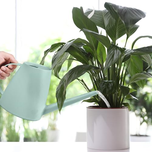 Image of Hand Plastic Watering Can - for Home Plant Garden - 1 /2 Gallon - Light Green