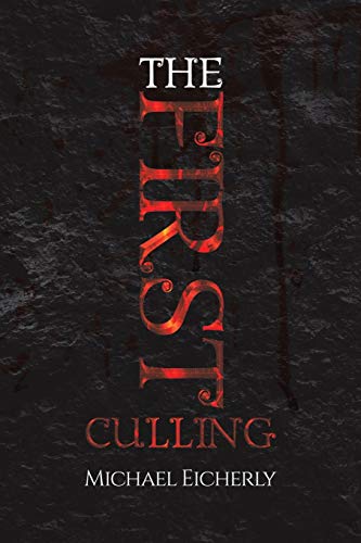 The First Culling view 2