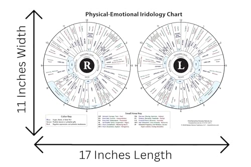 Image of Iridology Chart - 11x17 Double-Sided Laminated Iris Map with Organ Zones & Emotional Traits - Constitutional Health & Personality Assessment Tool