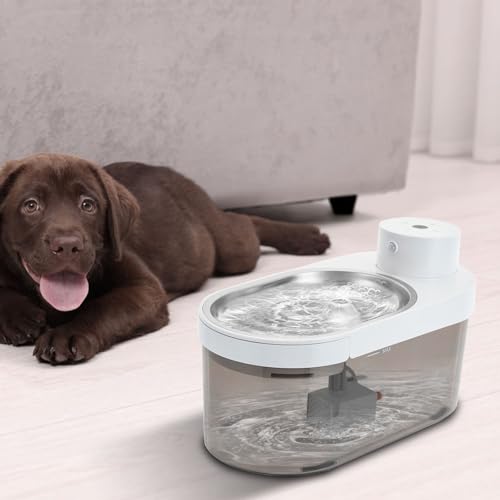 Fuente de Agua para Gatos con Filtro 4L Semi-transparente miniatura 4