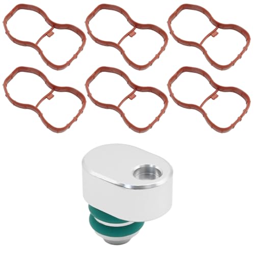 Hoypeyfiy 11618511363 Intake Swirl Flap Plug Delete Kit with Manifold Gaskets Replacement for BMW 3 5 7 Series E90 E91 E92 E93 F07 F10 F11 F01 F02 X5 E70 X6 E71 N57 N57S 11617807480 Hoypeyfiy 11618511363 Intake Swirl Flap Plug Delete Kit with Manifold Gaskets Replacement for BMW 3 5 7 Series E90 E91 E92 E93 F07 F10 F11 F01 F02 X5 E70 X6 E71 N57 N57S 11617807480