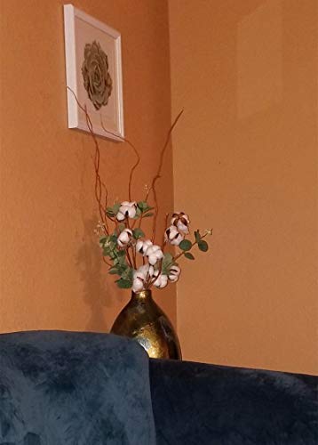 Deemei 6Pcs Cotton Stems With Eucalyptus Leaves Blooms Dried Flowers 4 Cotton Heads Per Stem Total 24 Balls For Home Farmhouse Style Floral Decoration #TOP7