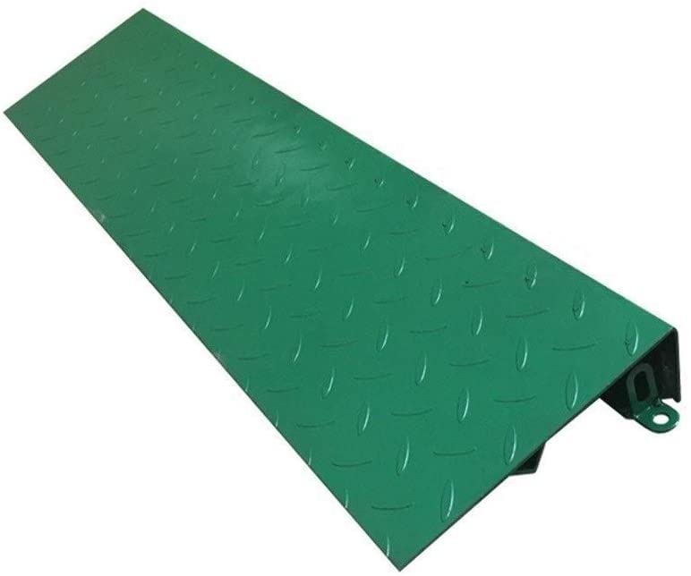 Rampe pour fauteuil roulant et vélo idéale pour franchir le seuil de votre maison