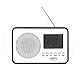 CAMRY CR1153 Digitales tragbares Radio, Kalender, Thermometer und Wecker. Große Digitale Anzeige. camry CR 1153 Mehrfarbig Einheitsgröße