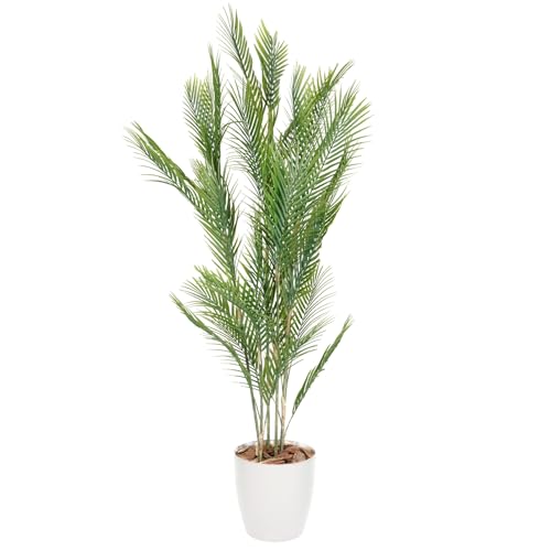 {^jJCtvX(Botanical life+)  AJV G} tFCNO[ NBV[Y 140cm zCg t {