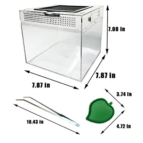kathson Caixa de alimentação de répteis lagarto cercado de caranguejo eremita habitat terrário de ré