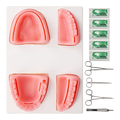 Kit de práctica de sutura dental ideal para estudiar y entrenar nudos quirúrgicos en casa