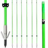 BOWSOUL 34inch Bowfishing Arrows Luminous with Broadheads and Safty Slides for Compound Bow&Recurve Bow Fishing Arrow Archery Hunting (Pack of 6) (Green)