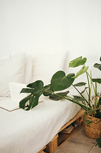 1000 Tc Fitted Sheet Queen Size, Egyptian Cotton 1 Pc Fitted Bed Sheets Upto 15 Inch Deep Pocket Fitted Sheet Queen Size Elephant Grey #TOP4